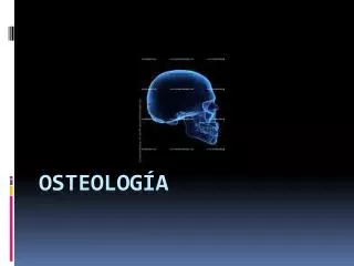 osteolog a