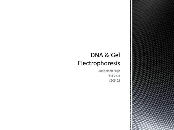 dna gel electrophoresis
