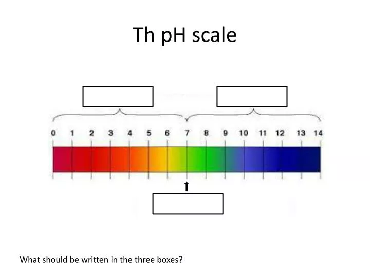 th ph scale