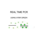 real time pcr presentation