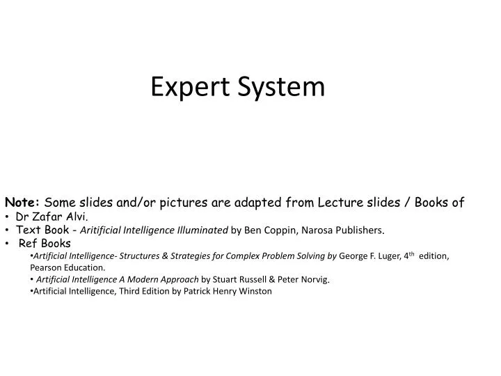 expert system