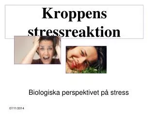 kroppens stressreaktion