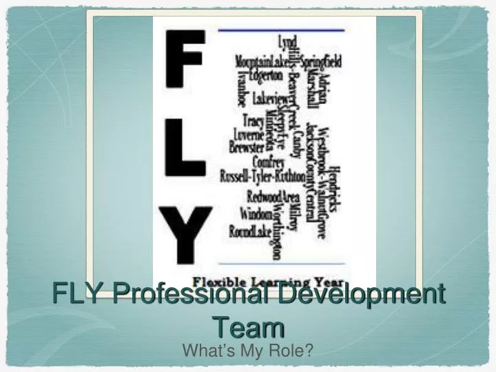 fly professional development team