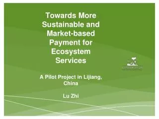 How does CI approach payment for ecosystem services programs?