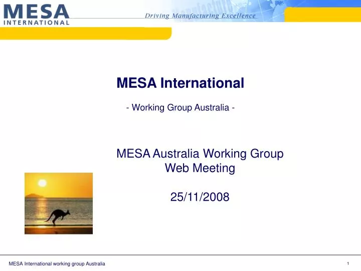 mesa international working group australia