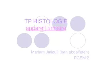 tp histologie appareil urinaire
