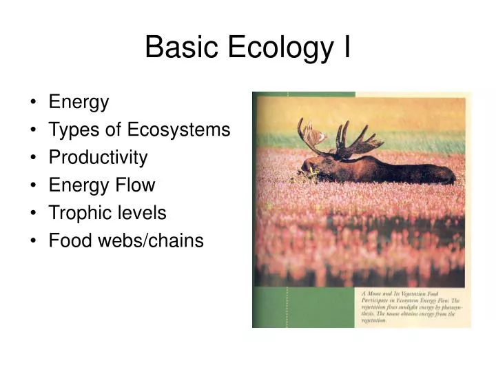 basic ecology i