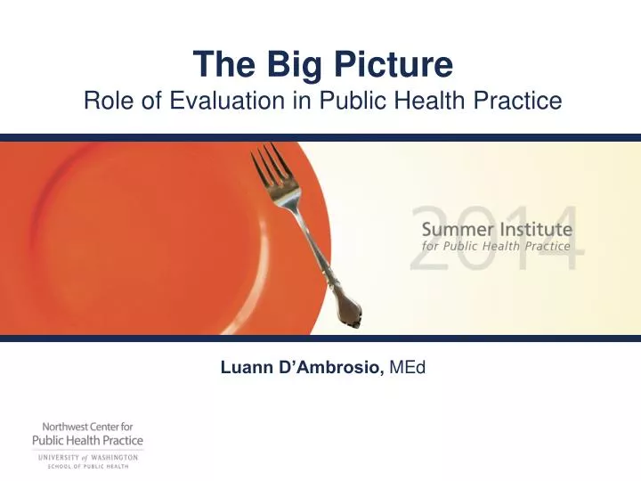 the big picture role of evaluation in public health practice
