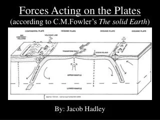 Forces Acting on the Plates (according to C.M.Fowler’s The solid Earth )