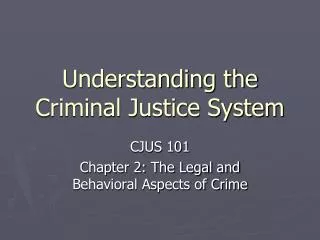 Understanding the Criminal Justice System