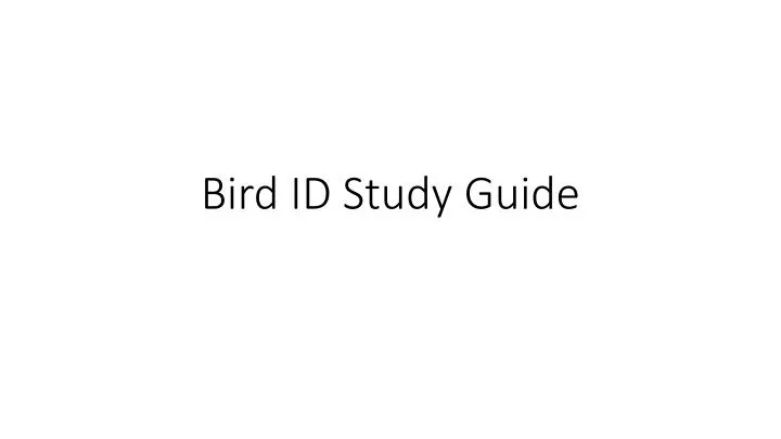 bird id study guide
