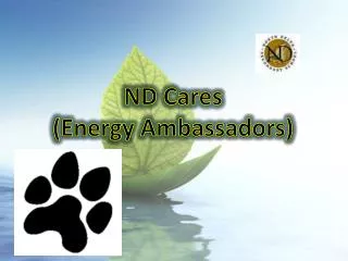 ND Cares (Energy Ambassadors)
