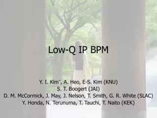 Low-Q IP BPM