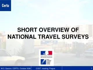 SHORT OVERVIEW OF NATIONAL TRAVEL SURVEYS