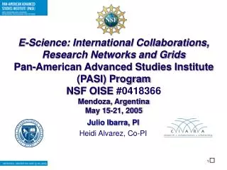 E-Science: International Collaborations, Research Networks and Grids