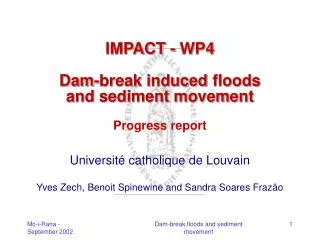 IMPACT - WP4 Dam-break induced floods and sediment movement Progress report