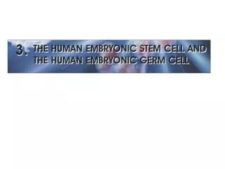 OVERVIEW 1998 - James Thomson and his colleagues: the first derivation of human ES cells