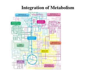 Integration of Metabolism