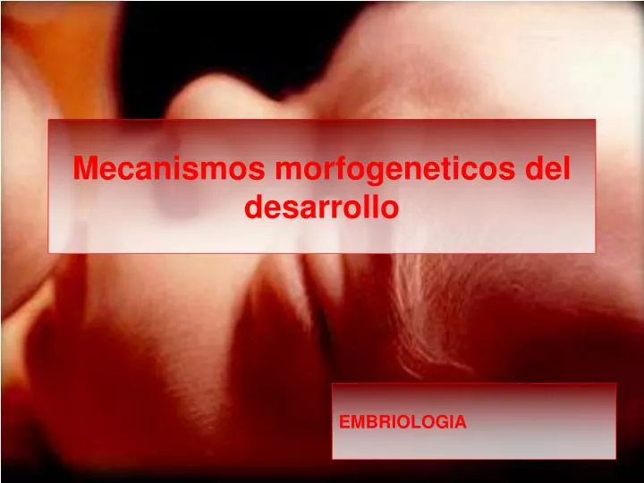 mecanismos morfogeneticos del desarrollo
