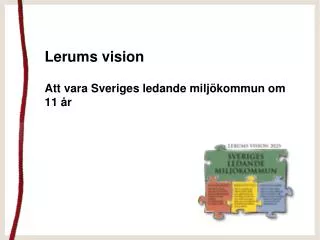 lerums vision