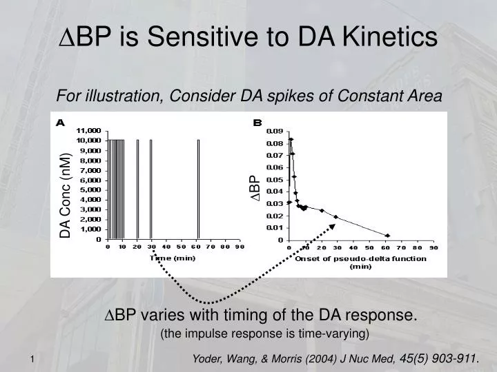 d bp is sensitive to da kinetics for illustration consider da spikes of constant area