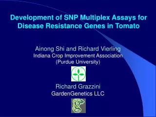 Development of SNP Multiplex Assays for Disease Resistance Genes in Tomato