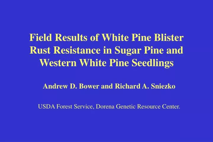 field results of white pine blister rust resistance in sugar pine and western white pine seedlings