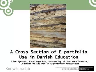 A Cross Section of E-portfolio Use in Danish Education