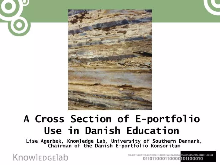 a cross section of e portfolio use in danish education