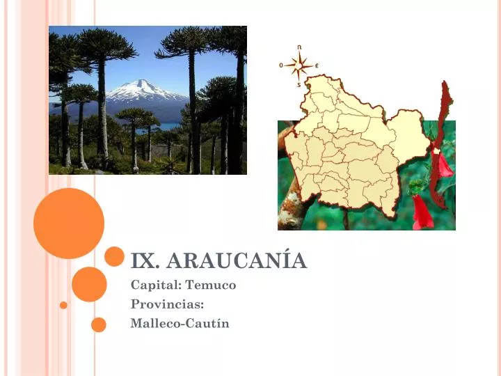 ix araucan a