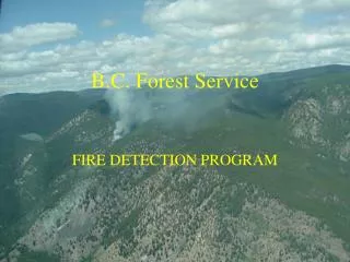 B.C. Forest Service