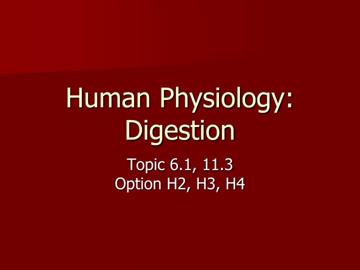human physiology digestion