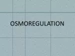 OSMOREGULATION - slide 1