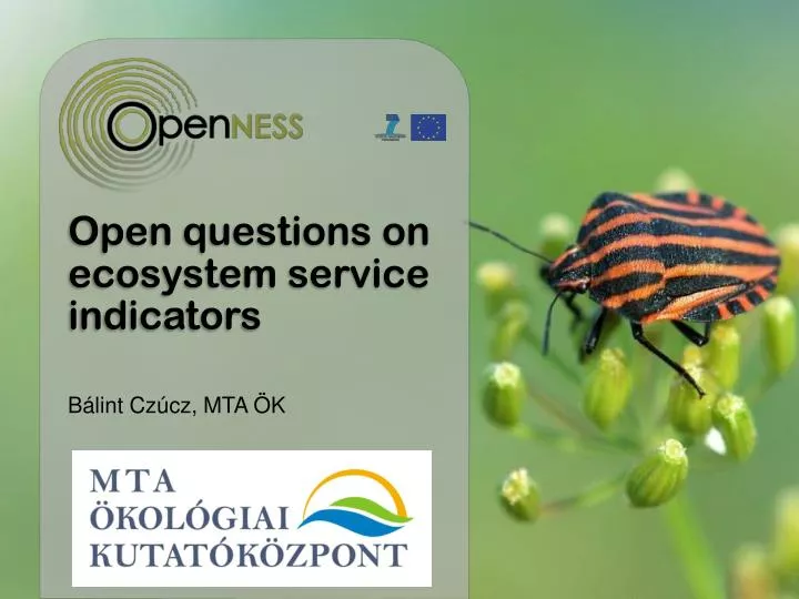 ope n questions on ecosystem service indicator s