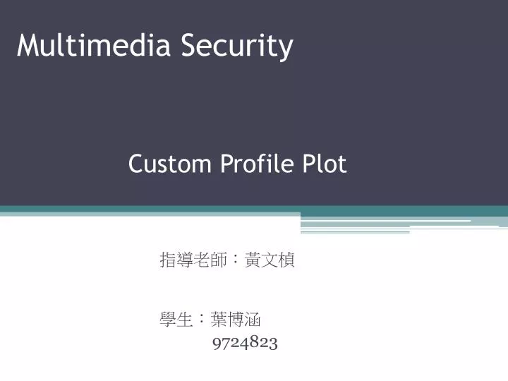 multimedia security