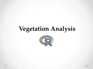 Vegetation Analysis