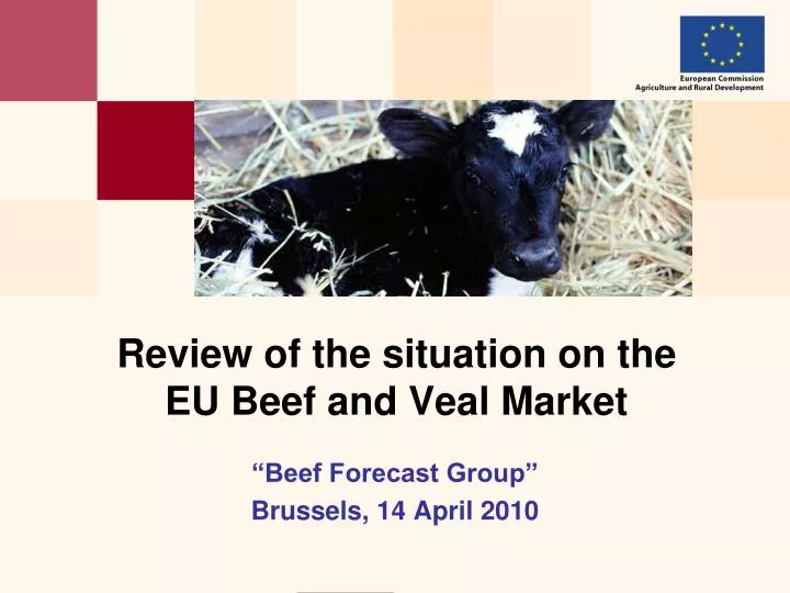 review of the situation on the eu beef and veal market
