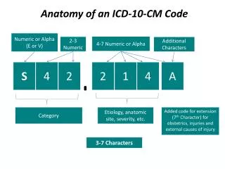 Anatomy of an ICD-10-CM Code