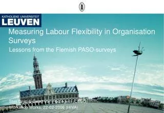Measuring Labour Flexibility in Organisation Surveys
