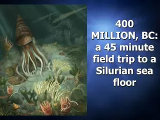 400 MILLION, BC: a 45 minute field trip to a Silurian sea floor