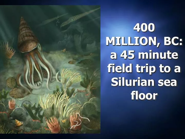 400 million bc a 45 minute field trip to a silurian sea floor