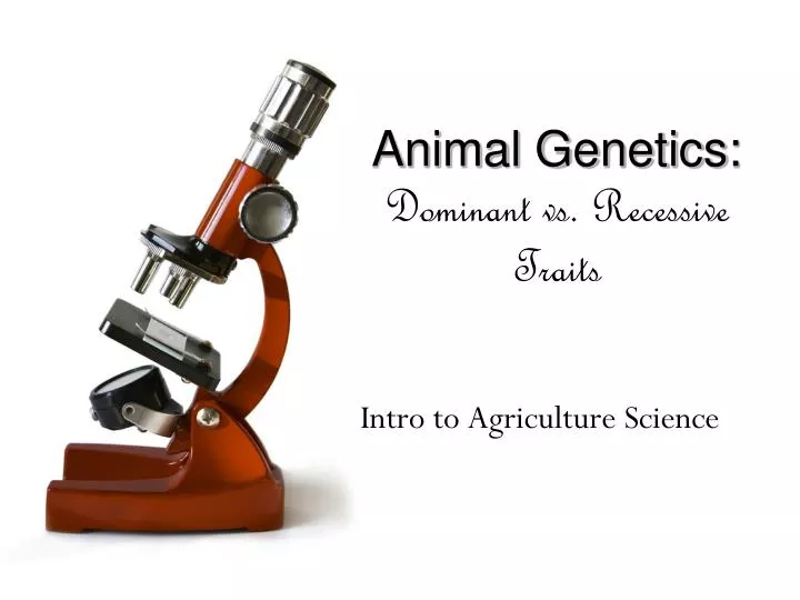 animal genetics dominant vs recessive traits