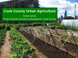 Cook County Urban Agriculture