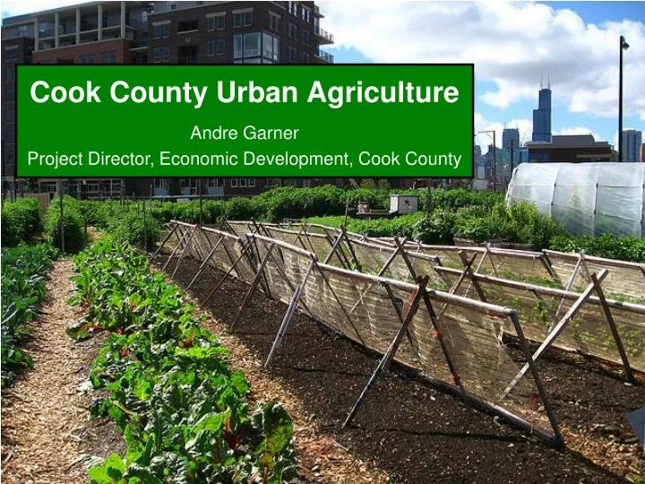 cook county urban agriculture