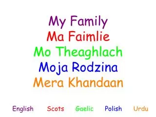 My Family Ma Faimlie Mo Theaghlach Moja Rodzina Mera Khandaan