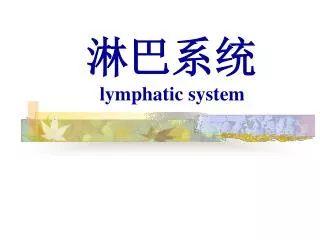 lymphatic system