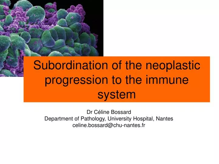 subordination of the neoplastic progression to the immune system