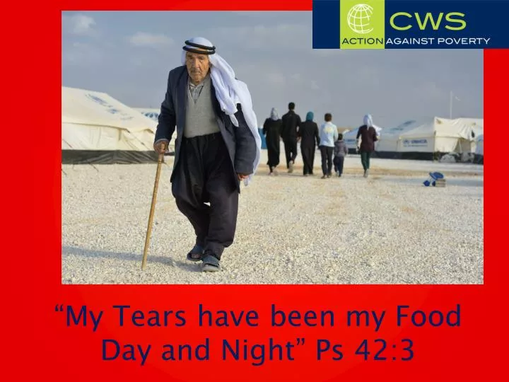 my tears have been my food day and night ps 42 3