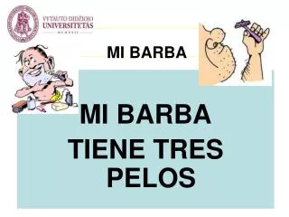 mi barba