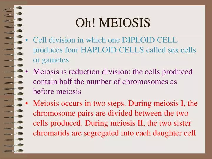 oh meiosis